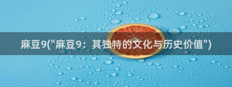 91麻豆国产专区在线观看：麻豆9(\