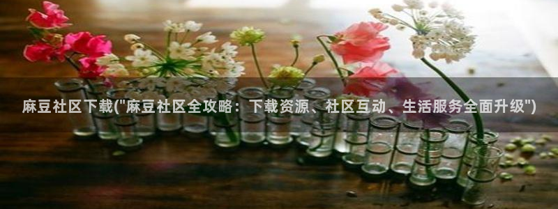 麻豆专区一区二区三区：麻豆社区下载(\