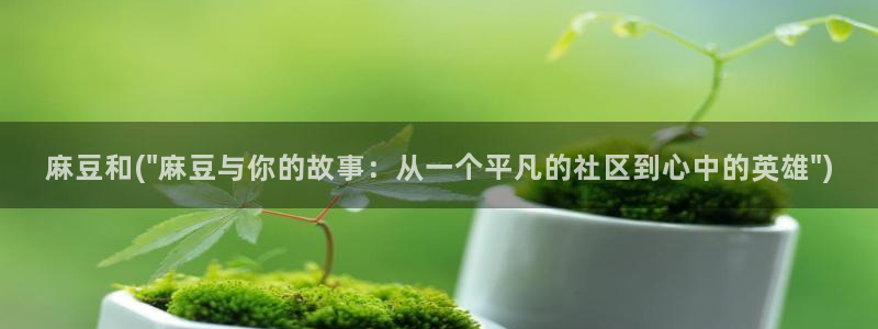 91蜜桃麻豆专区：麻豆和(\