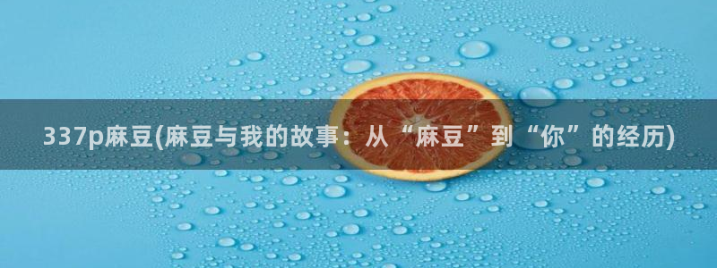 麻豆专区二：337p麻豆(麻豆与我的故事：从“麻豆”到“你”的经历)