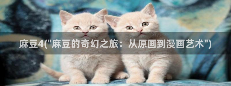 91麻豆国产专区在线观看：麻豆4(\