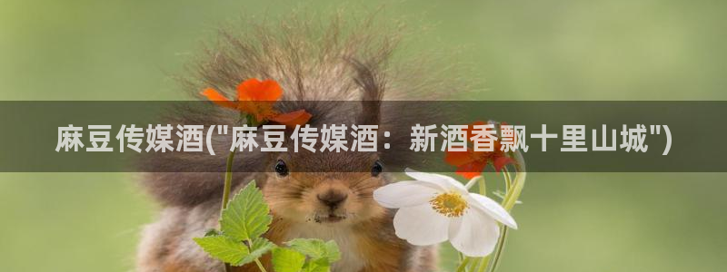 中文麻豆专区：麻豆传媒酒(\