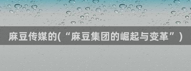 91麻豆国产专区：麻豆传媒的(“麻豆集团的崛起与变革”)