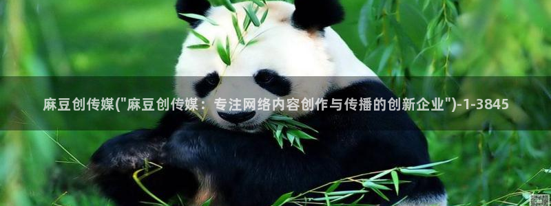 麻豆麻豆：麻豆创传媒(\