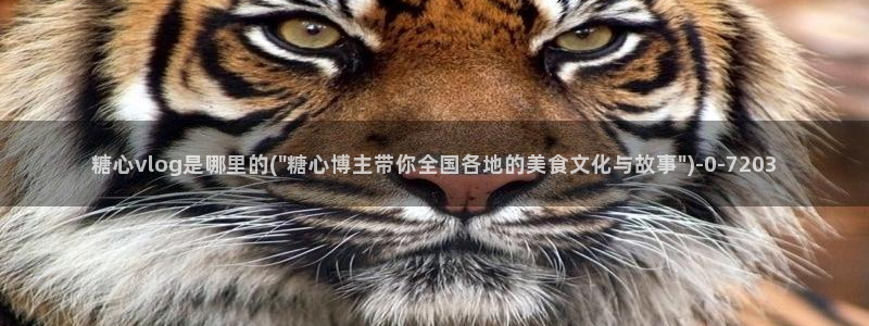 糖心vlog国产