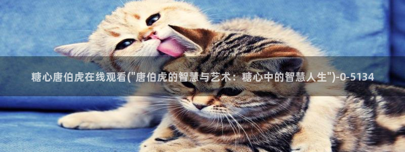 糖心视频vlog在线播放