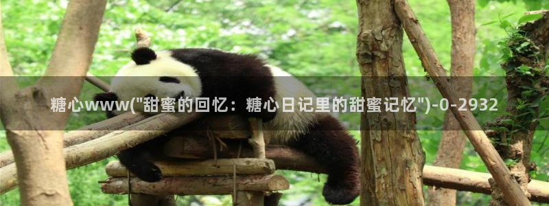 糖心vlog记录