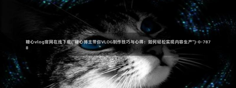 糖心vlog免