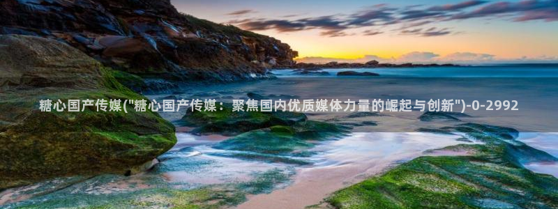 糖心vlog破译版：糖心国产传媒(\
