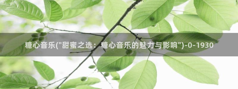 糖心vlog,