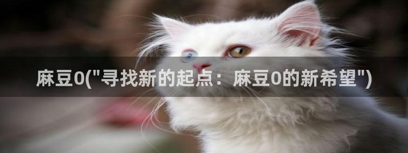 伊人久麻豆社区：麻豆0(\