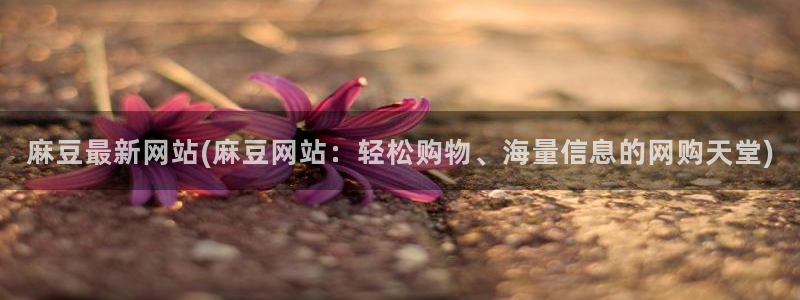 精品麻豆：麻豆最新网站(麻豆网站：轻松购物、海量信息的网购天堂)