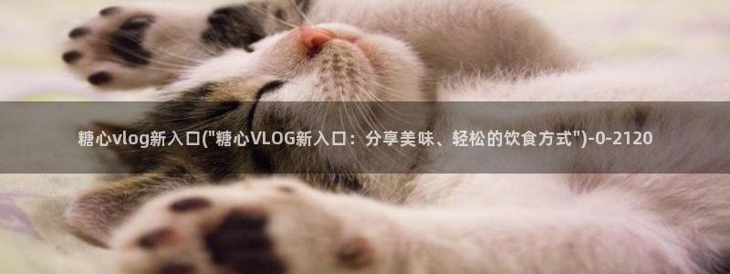 糖心vlog柚子猫内射