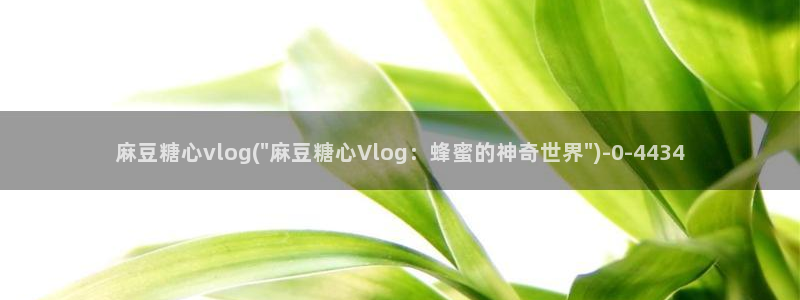 糖心vlog苹果