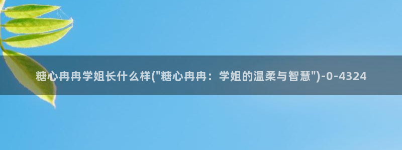 心糖vlog在线