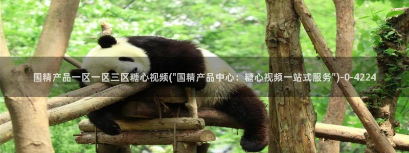 糖心vlog直接看