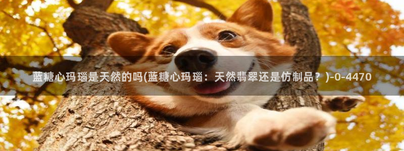 糖心vlog麻酥酥