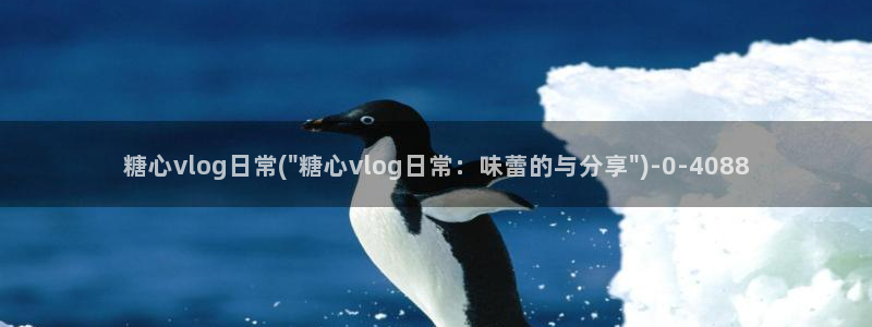 米菲兔糖心vlog